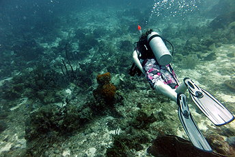 Learn to drift dive with Southampton Scuba Diving drift diving