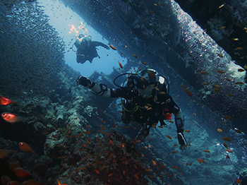 Garry Donaldson underwater